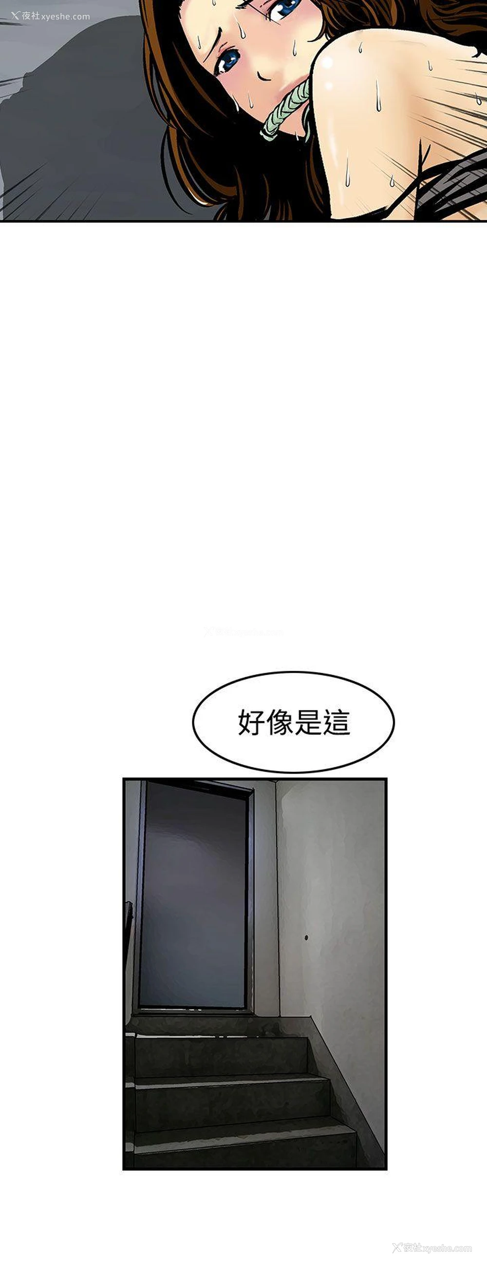 10P - 猪圈