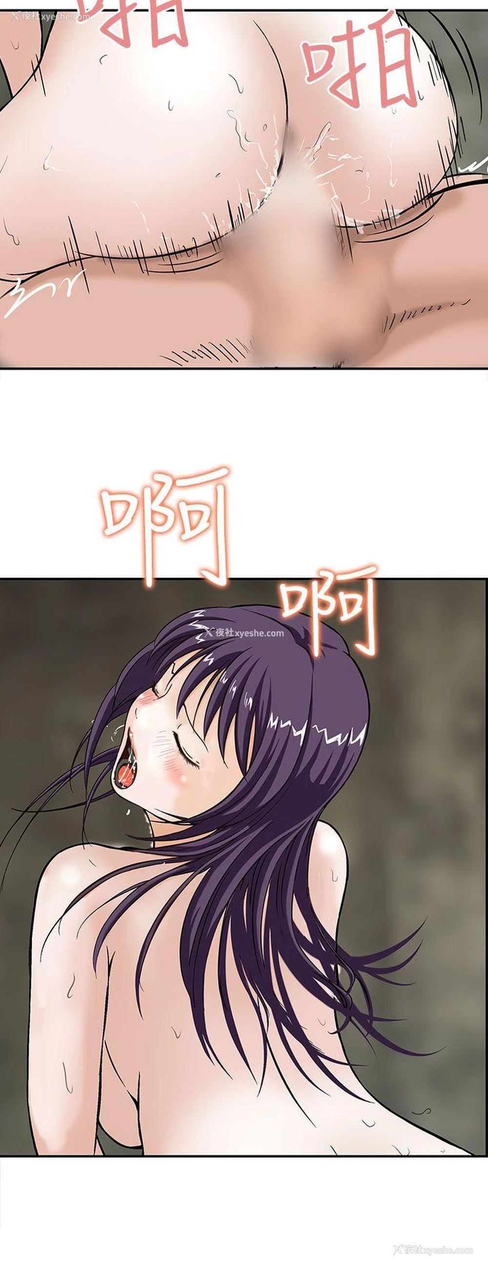 18P - 猪圈
