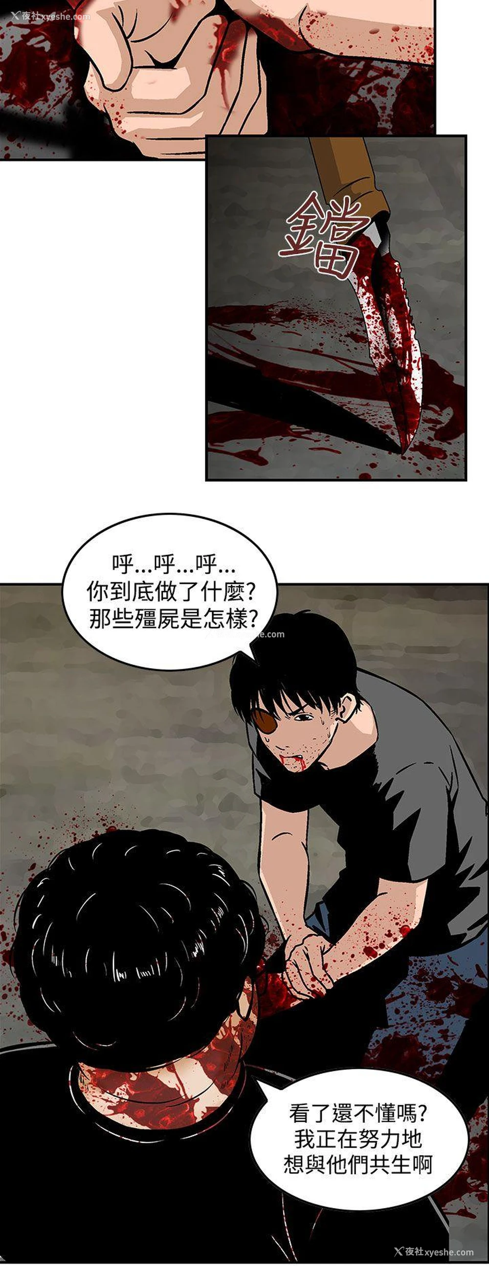 16P - 猪圈