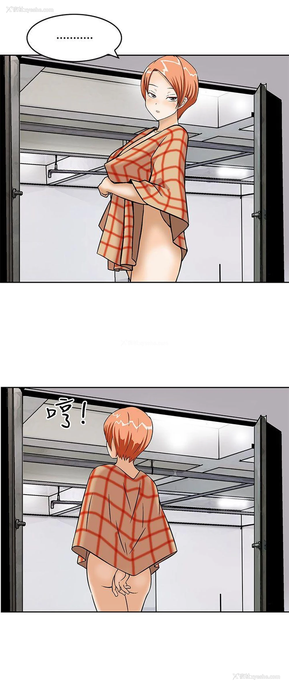 16P - 猪圈