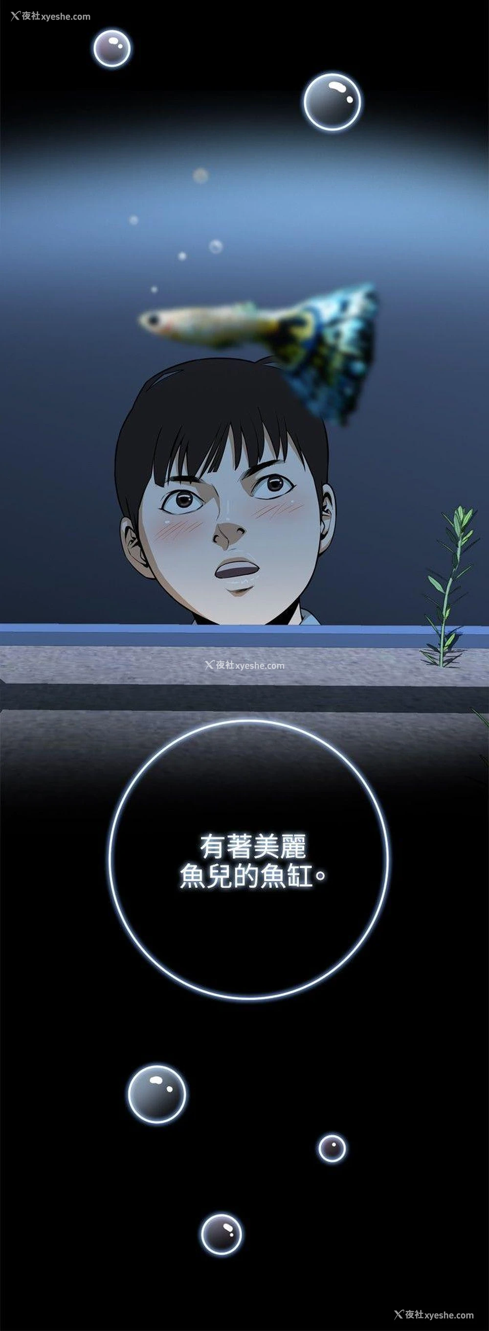 2P - 偷窥