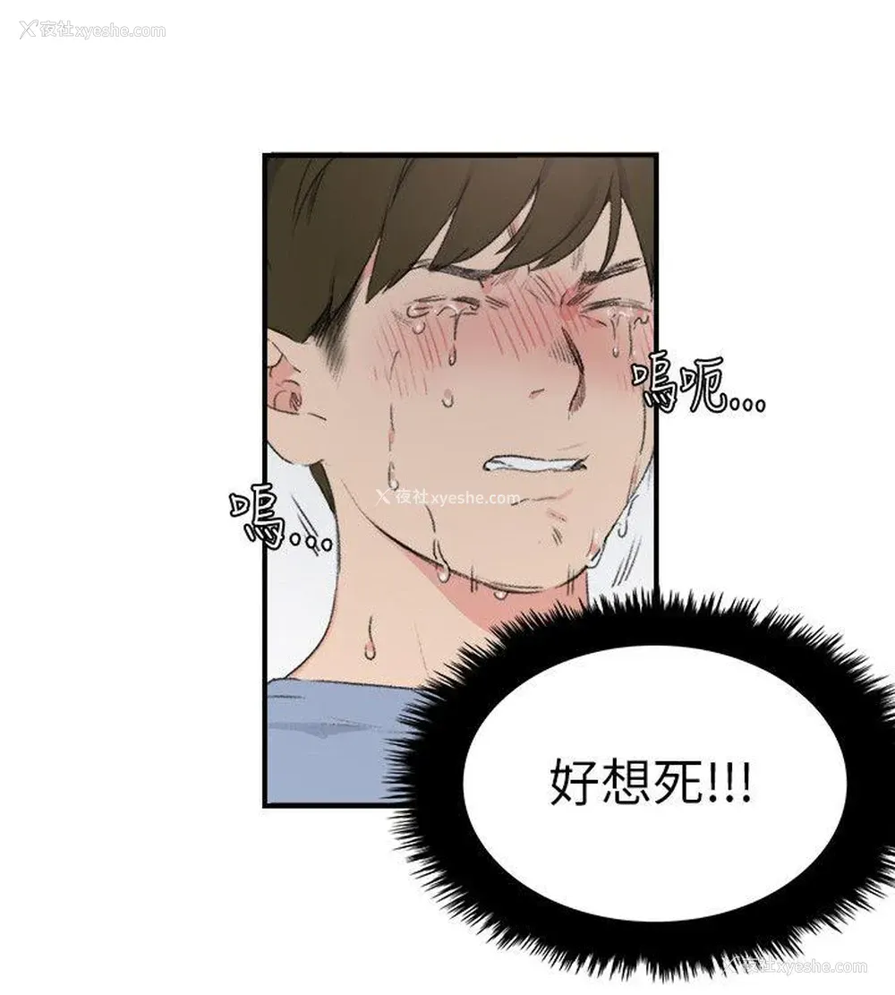 4P - 双面圣女