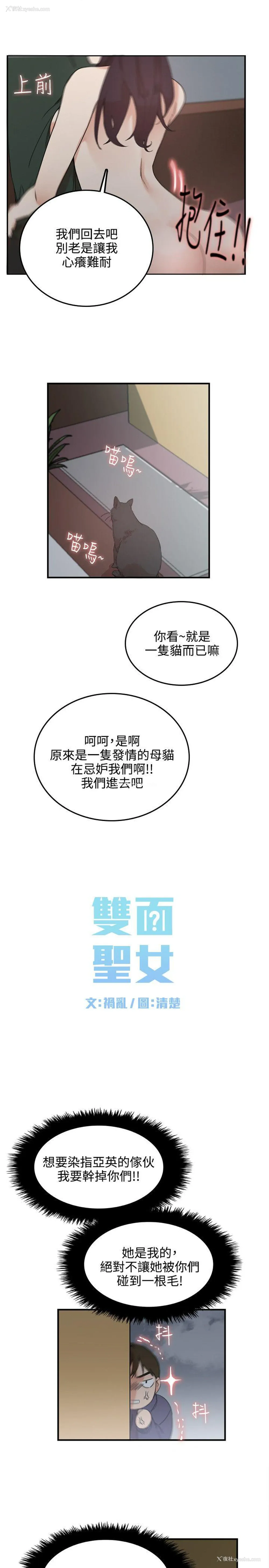 11P - 双面圣女