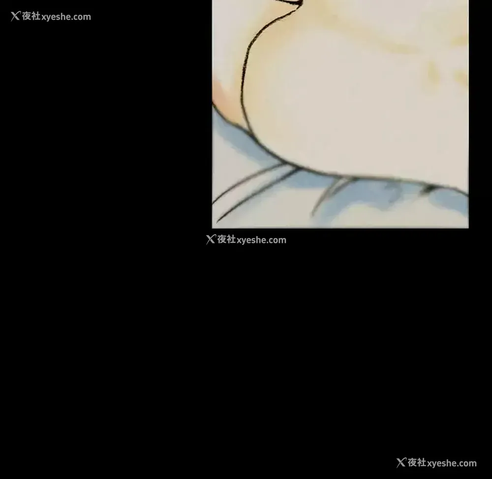 12P - 完美情人养成记
