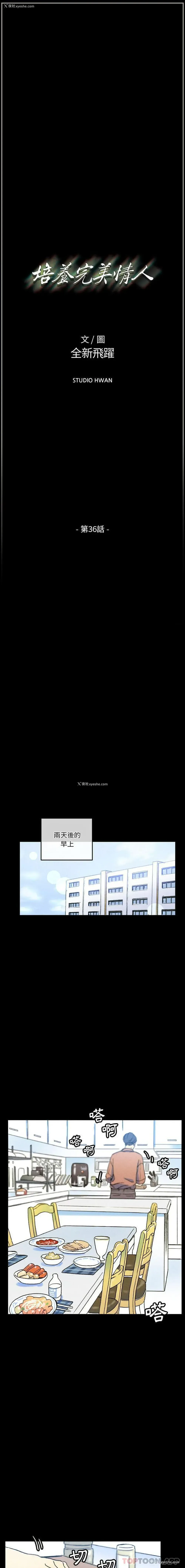 1P - 完美情人养成记