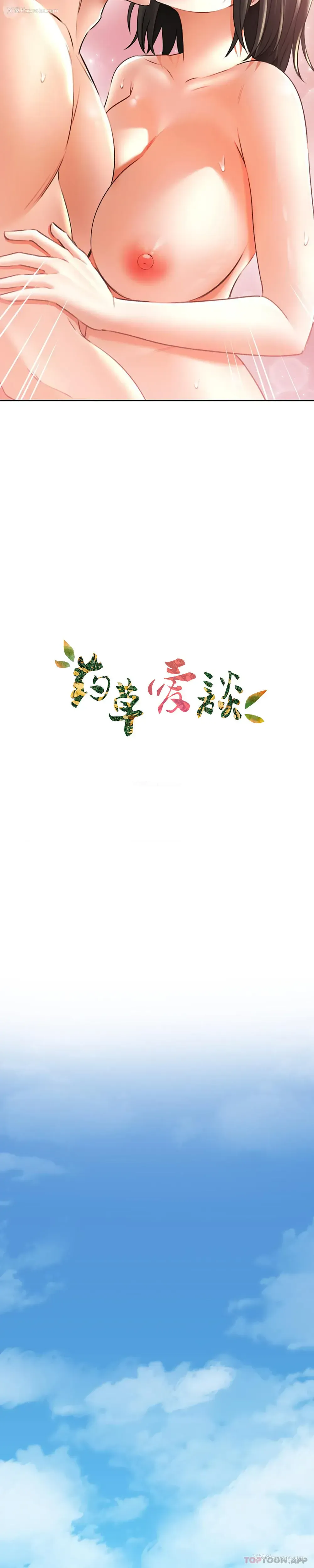 4P - 草药爱谈