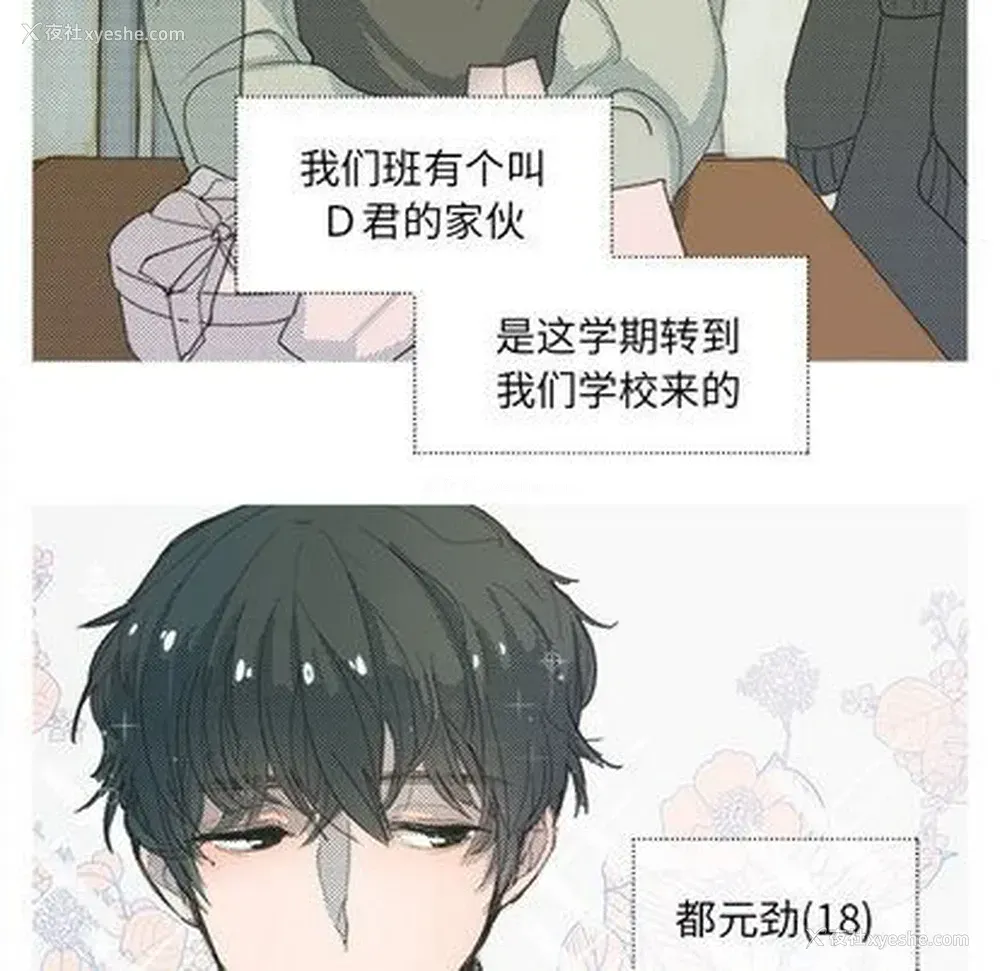 23P - 心跳维他命