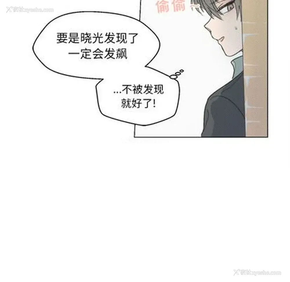 35P - 心跳维他命