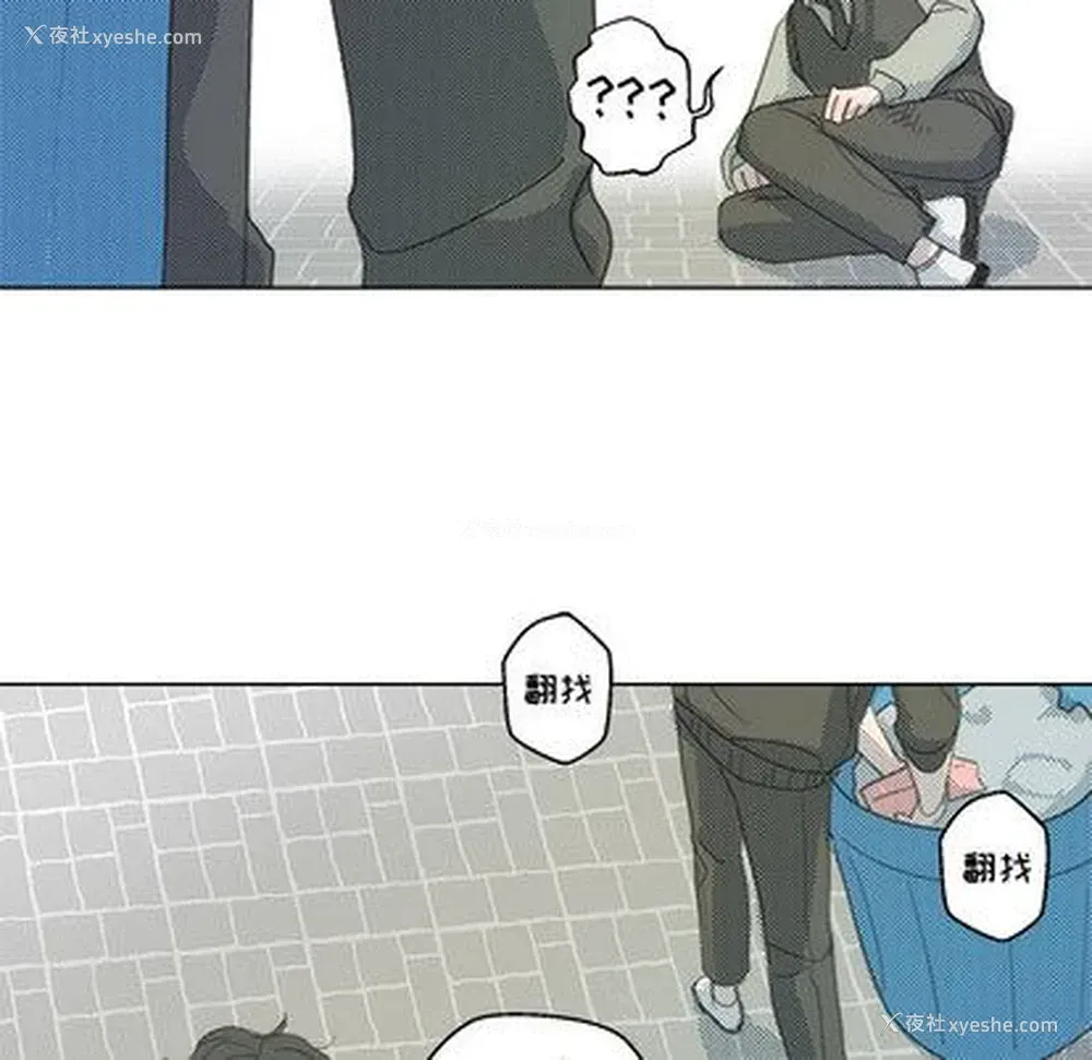 55P - 心跳维他命