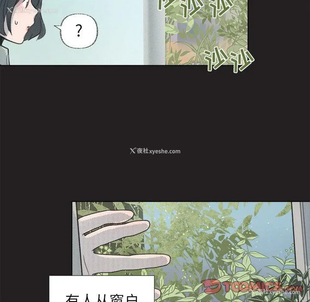 13P - 心跳维他命