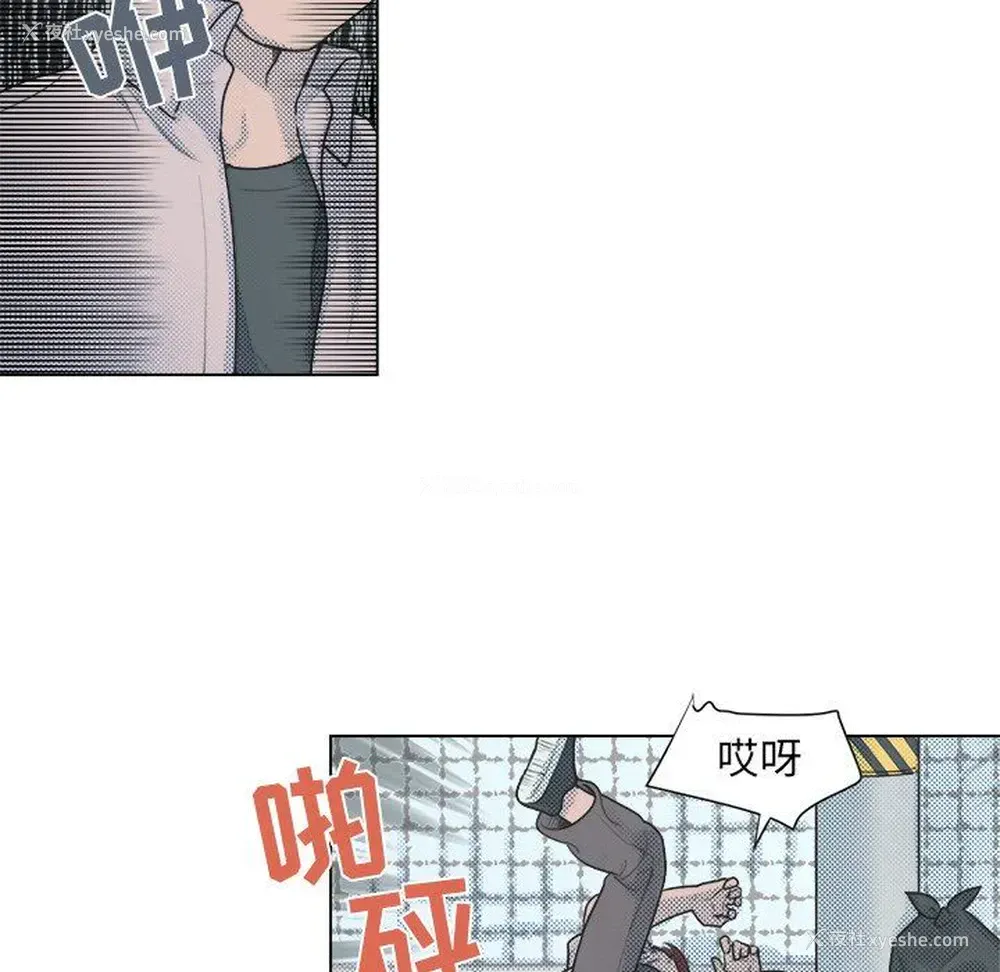 46P - 心跳维他命