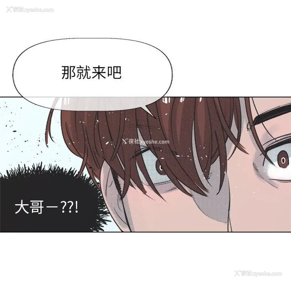13P - 心跳维他命