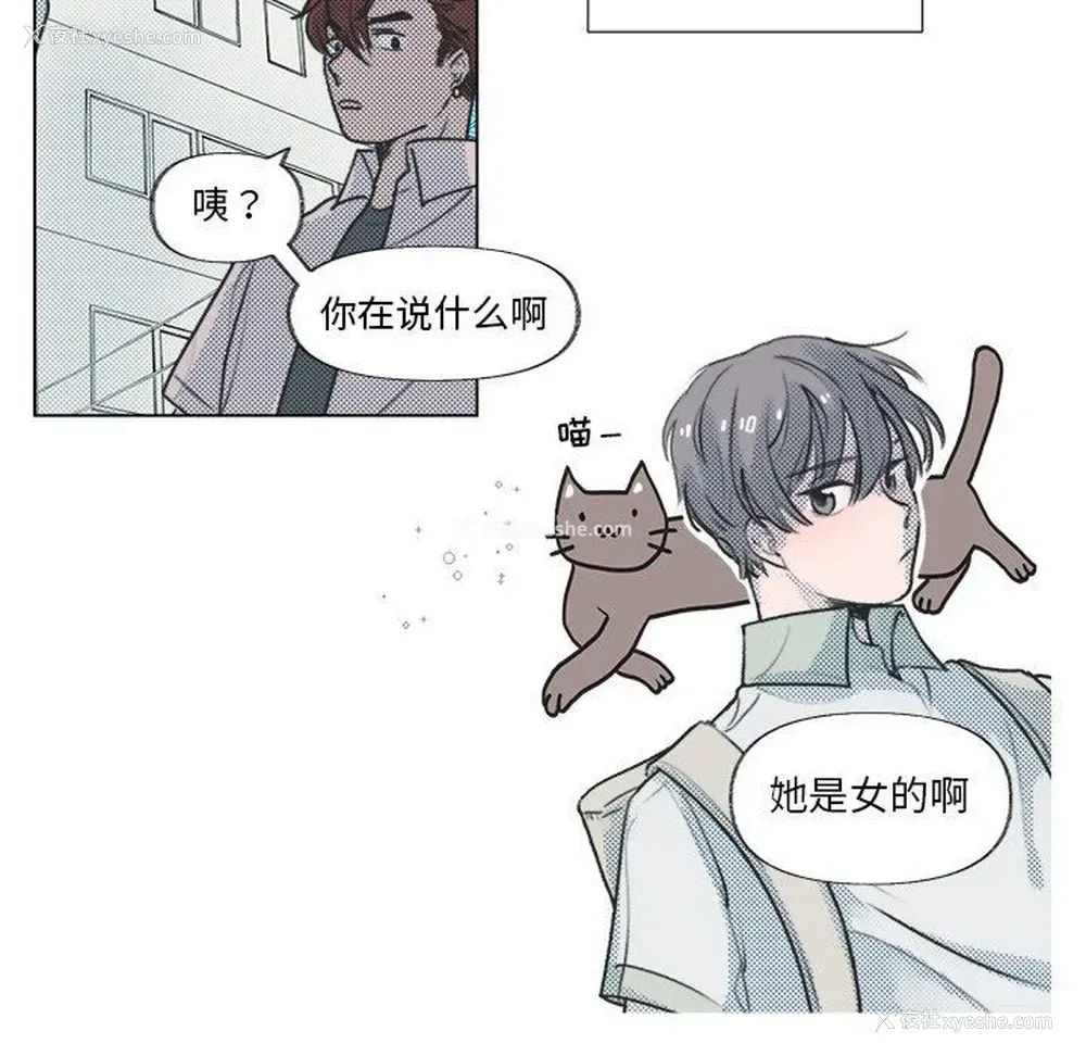 7P - 心跳维他命