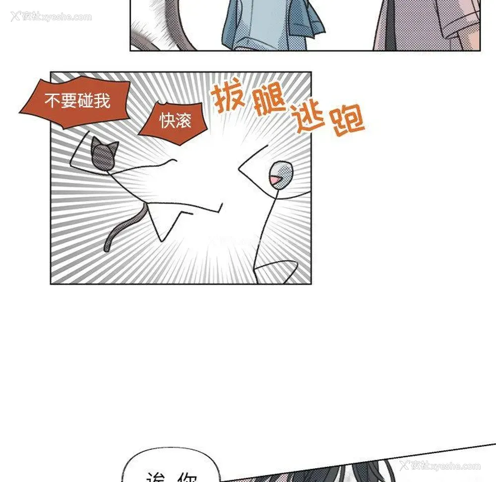 31P - 心跳维他命