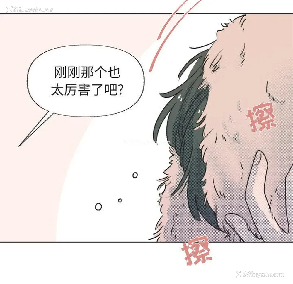 13P - 心跳维他命