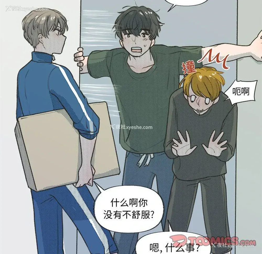 40P - 心跳维他命