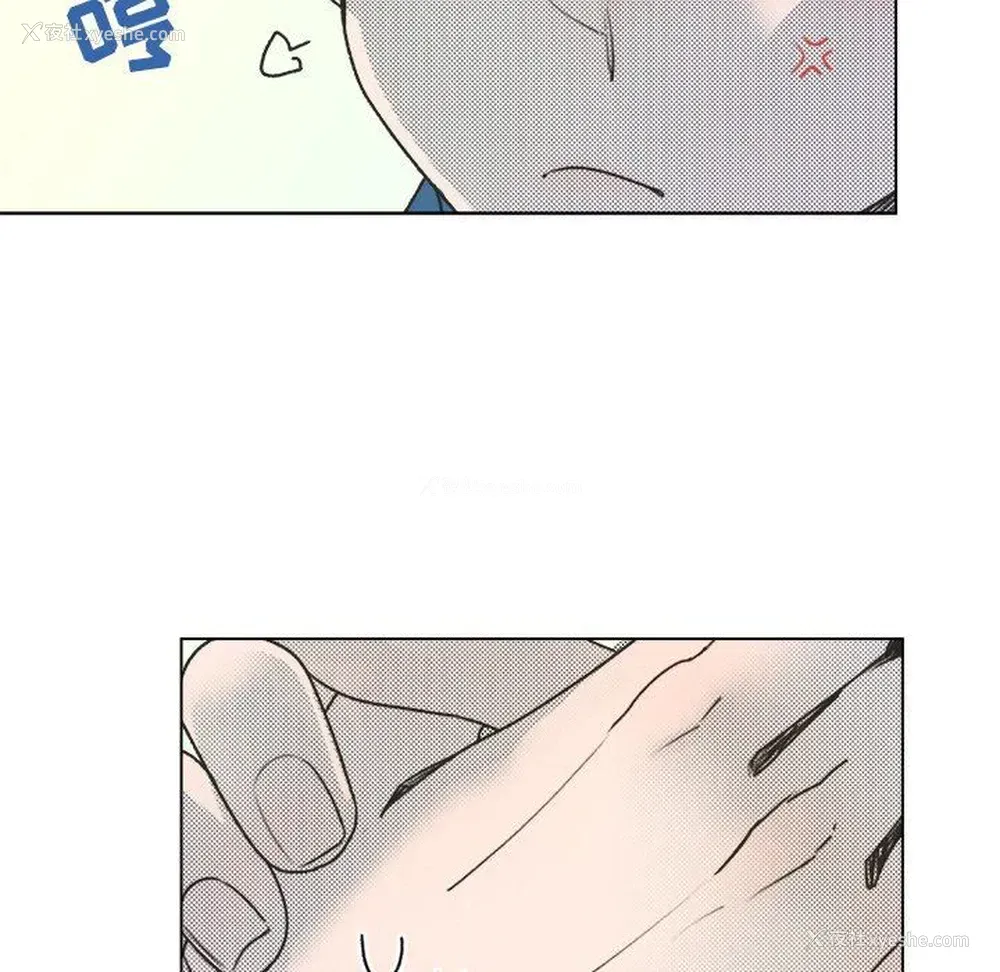 15P - 心跳维他命