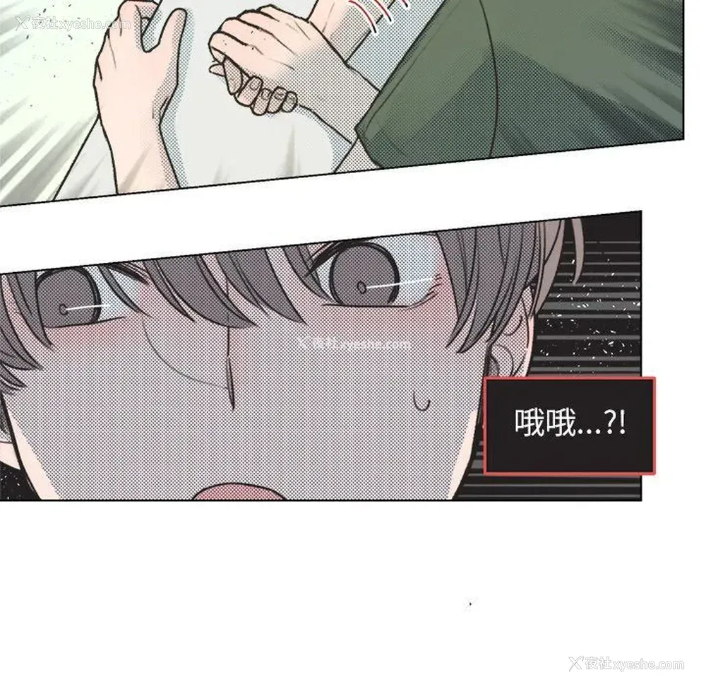 19P - 心跳维他命