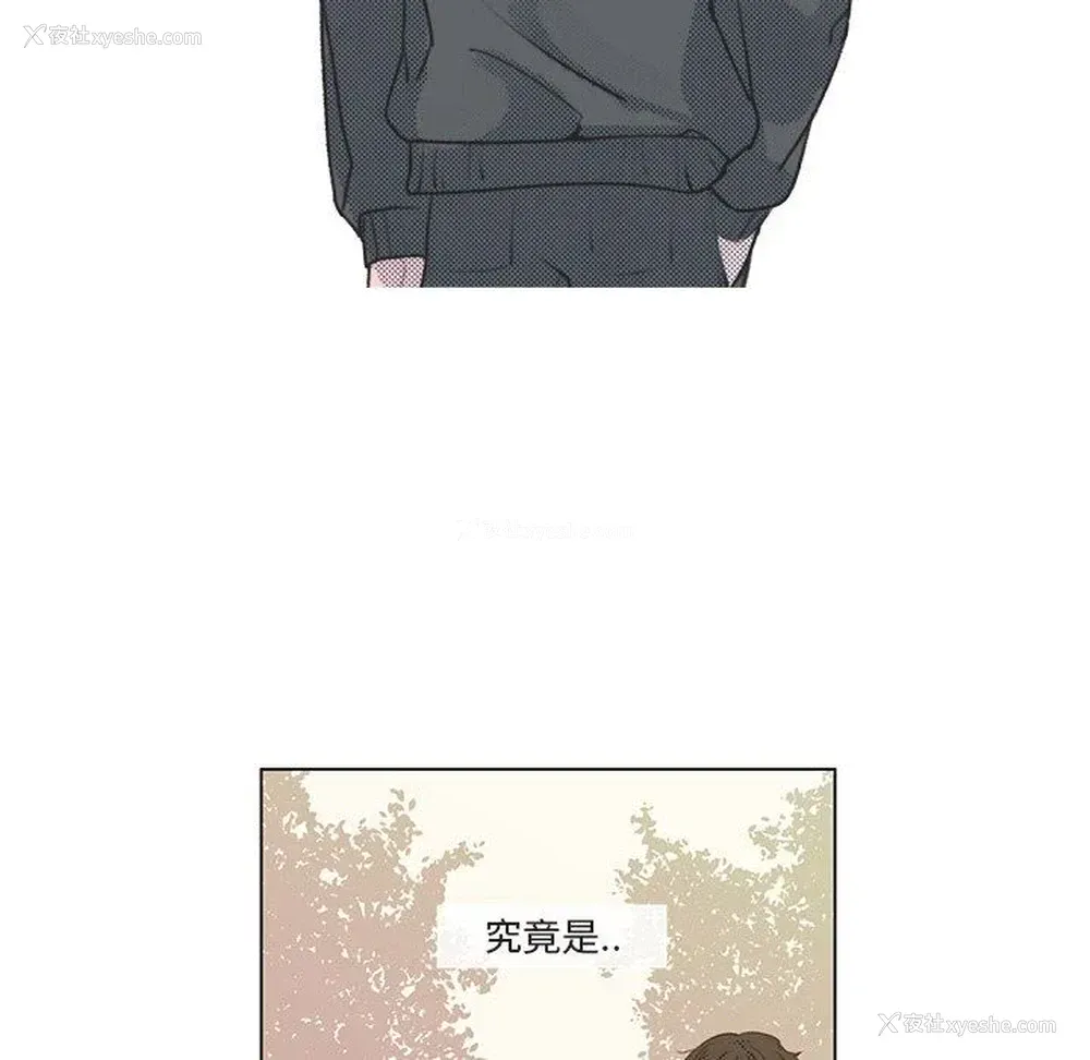 55P - 心跳维他命