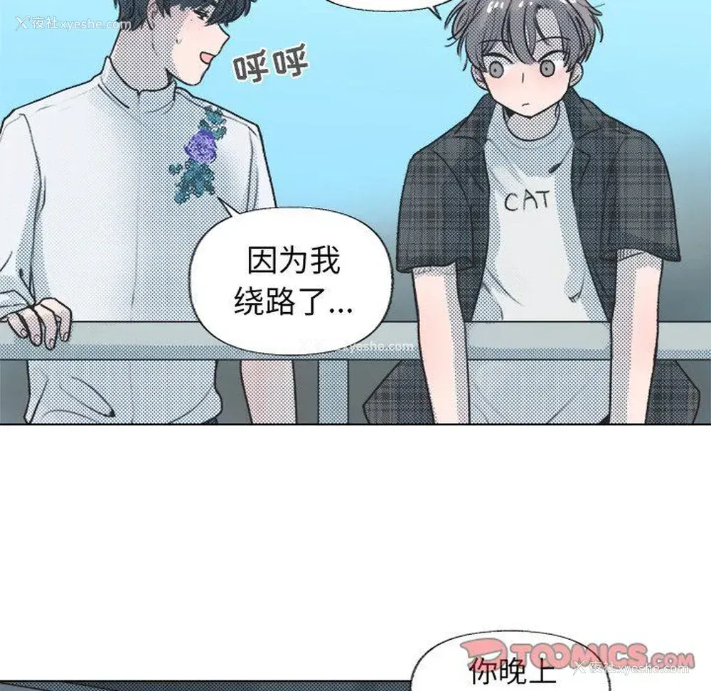 28P - 心跳维他命