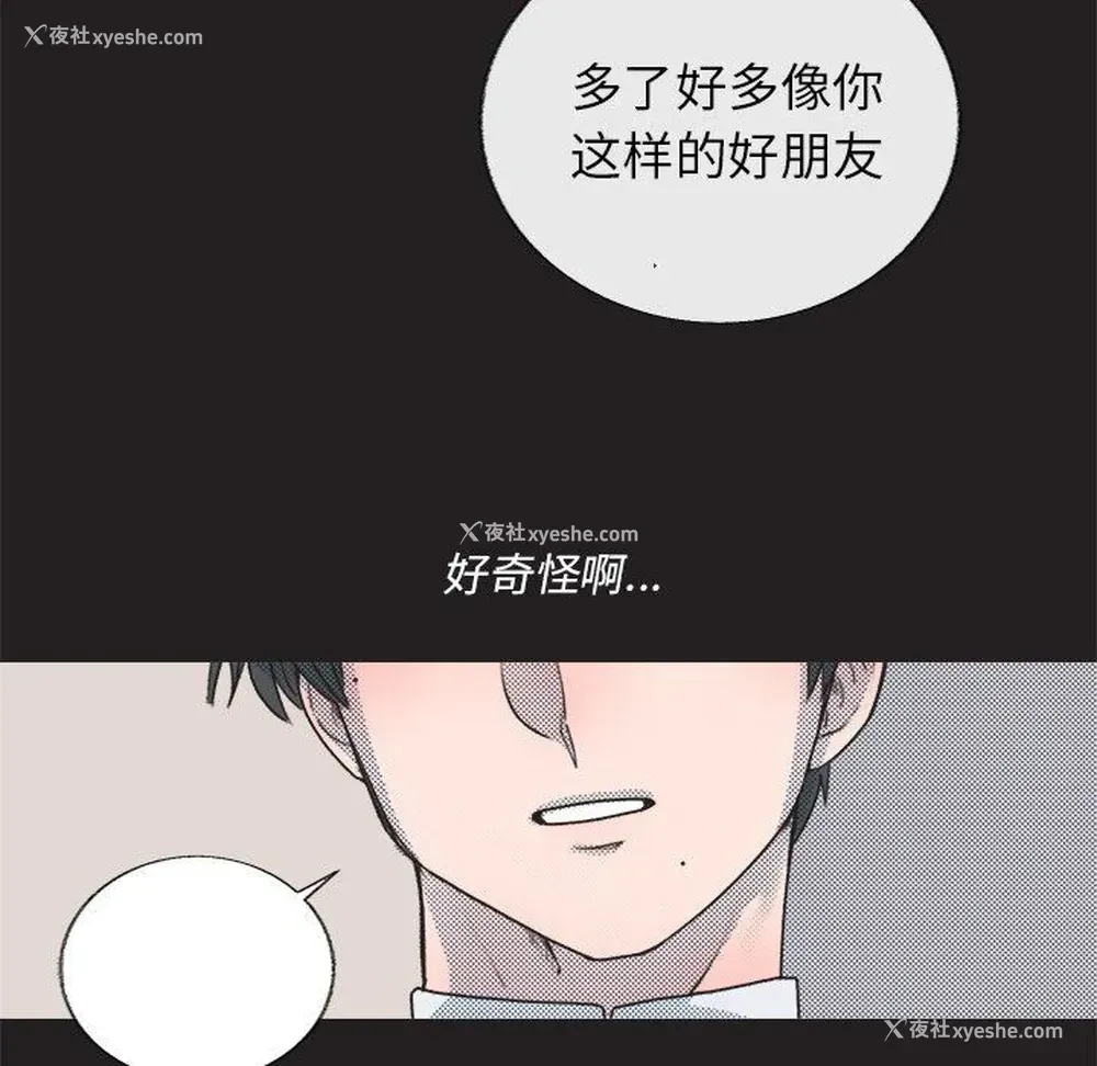43P - 心跳维他命