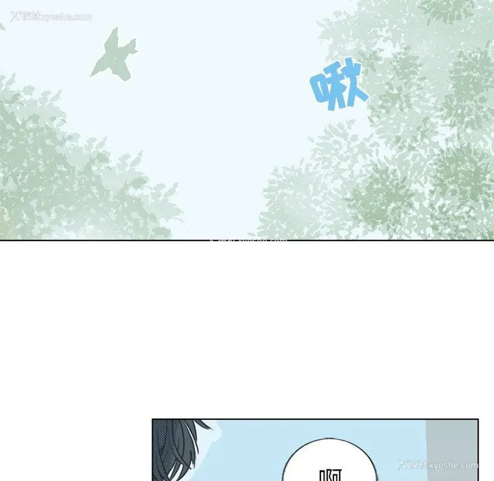 37P - 心跳维他命