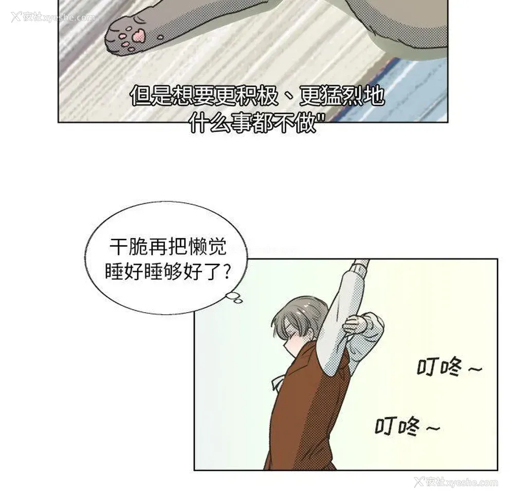 65P - 心跳维他命