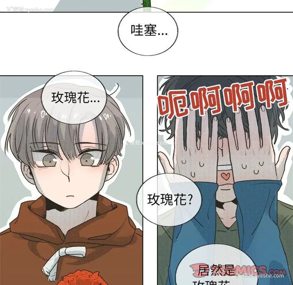 22P - 心跳维他命