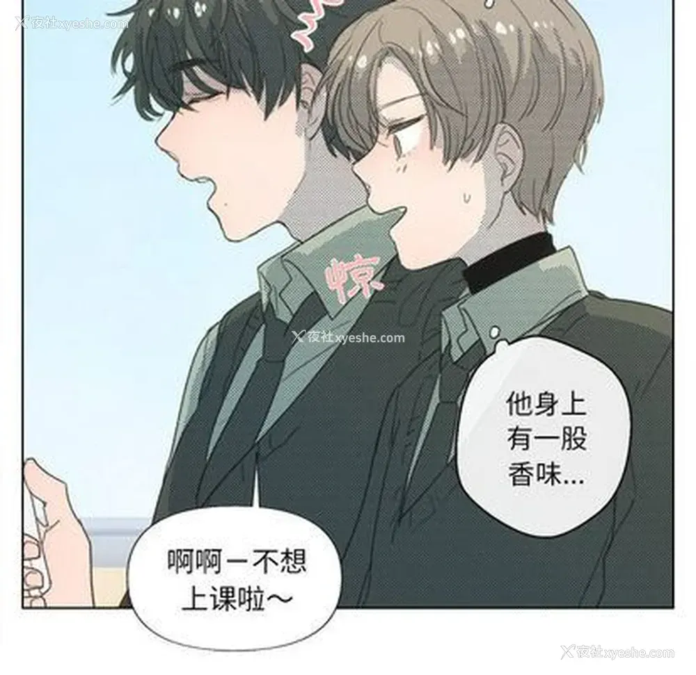 54P - 心跳维他命