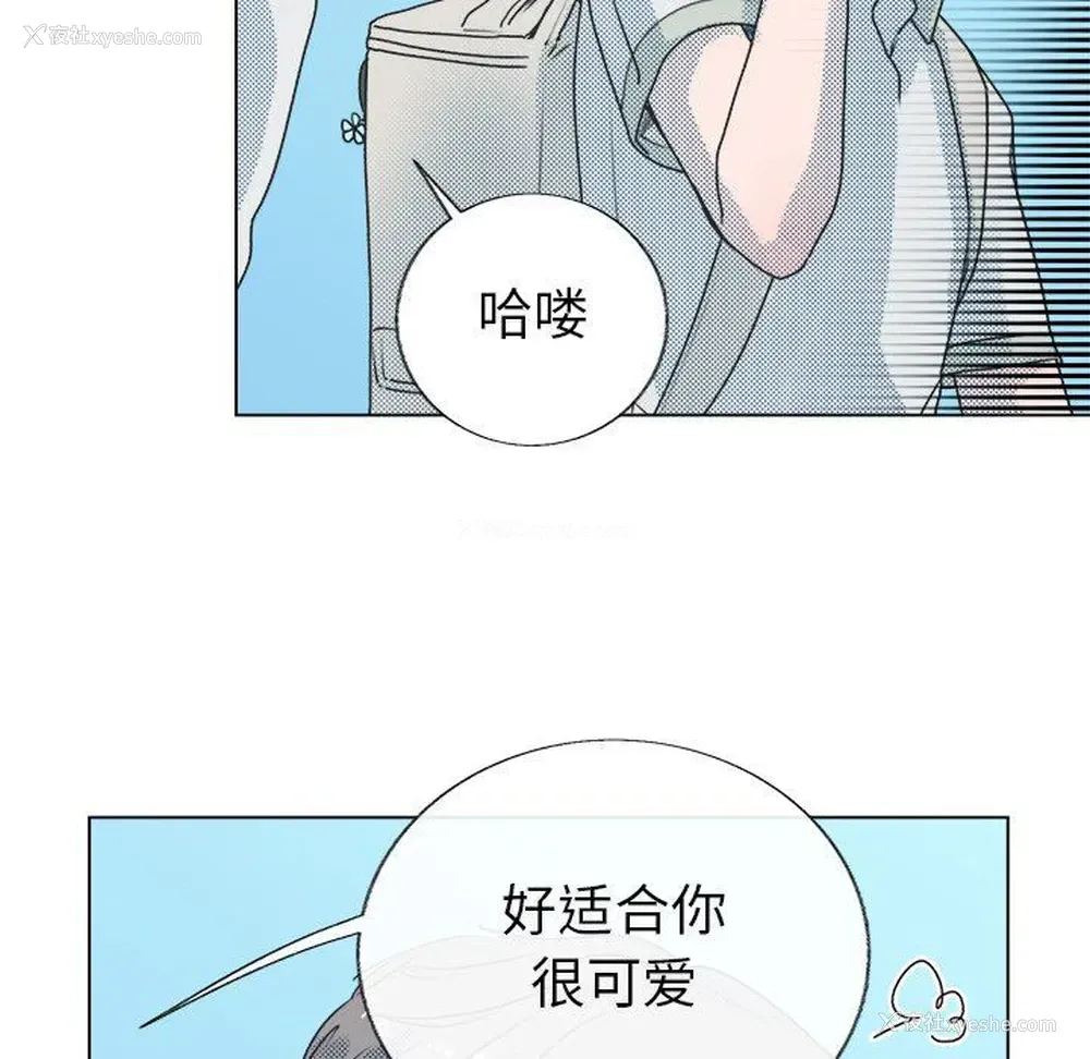 48P - 心跳维他命