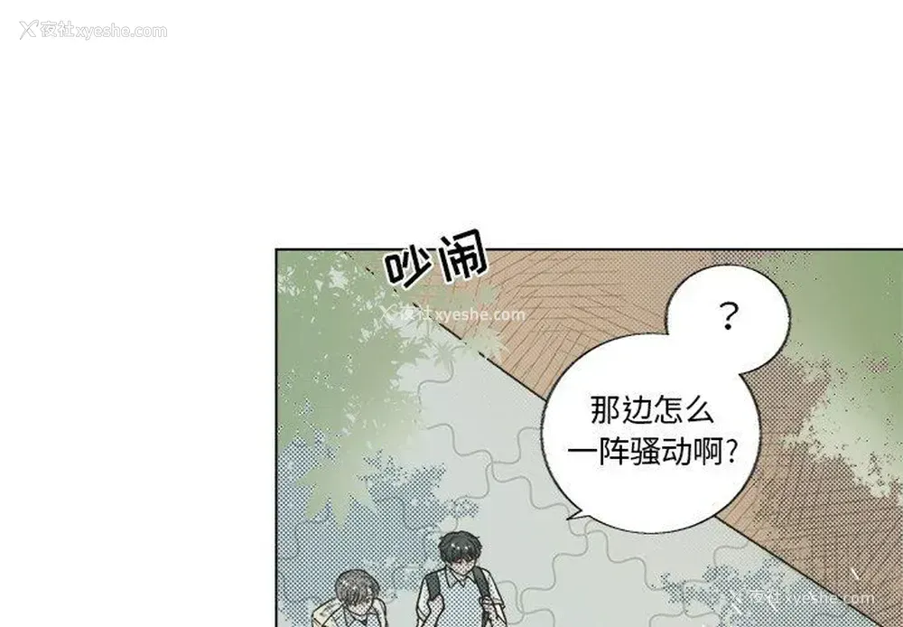 2P - 心跳维他命