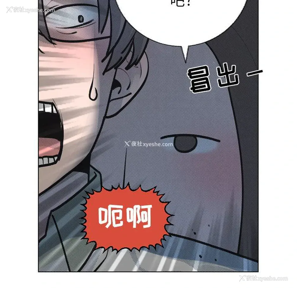 13P - 心跳维他命