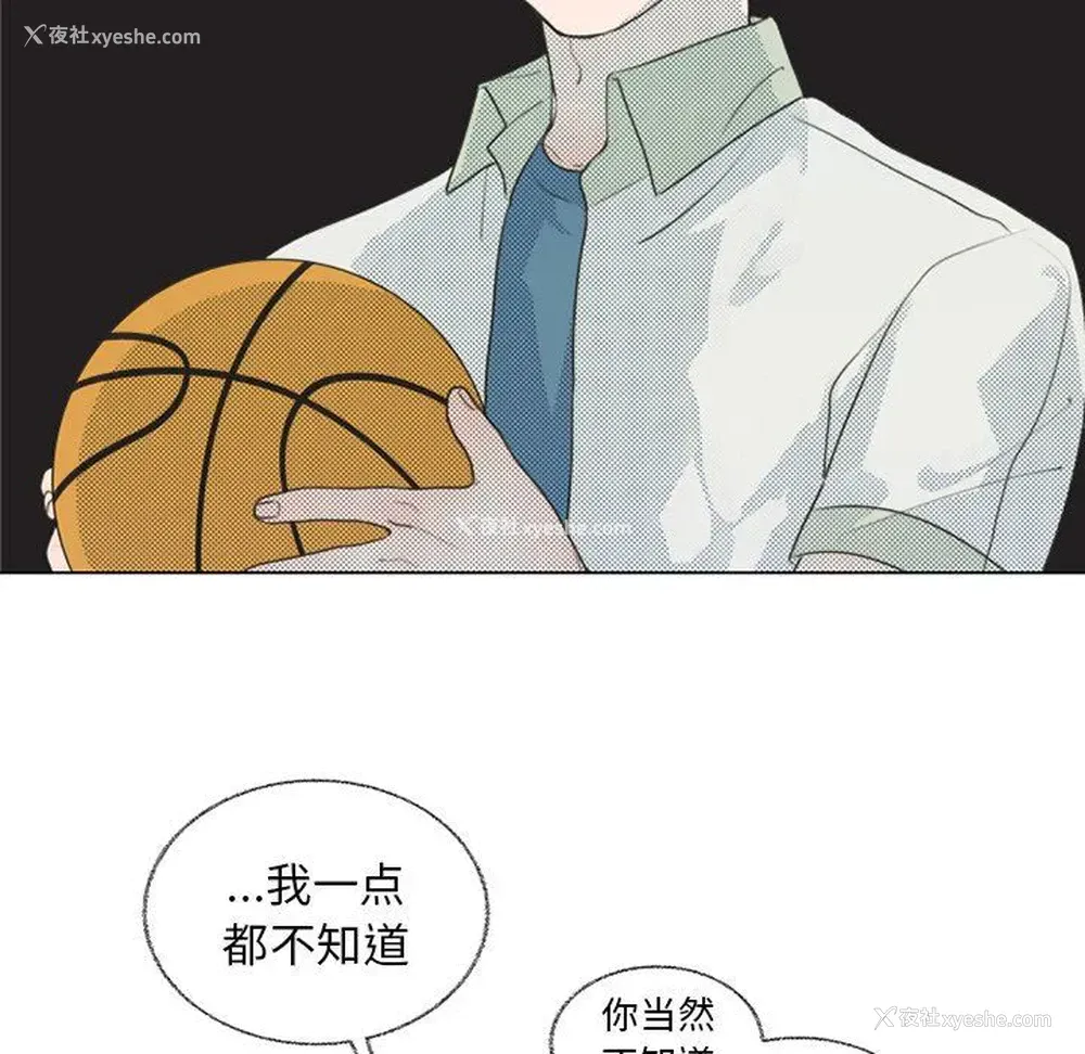 17P - 心跳维他命