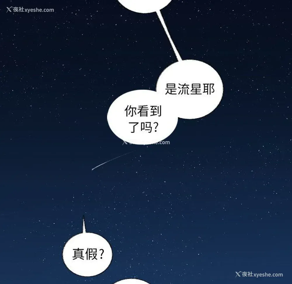 36P - 心跳维他命