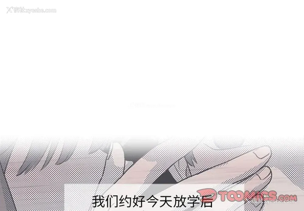 4P - 心跳维他命