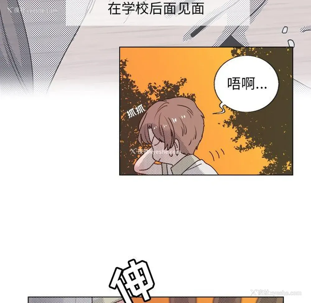 5P - 心跳维他命