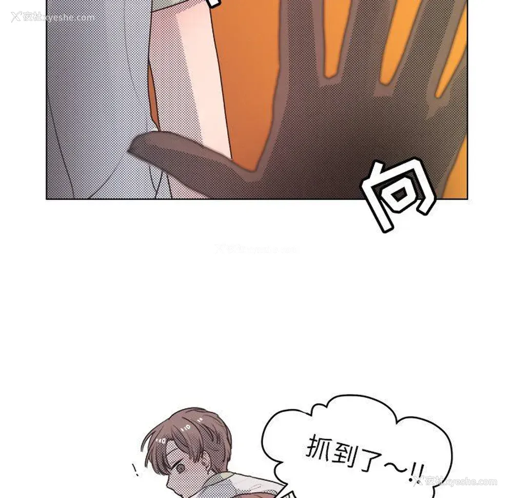 6P - 心跳维他命