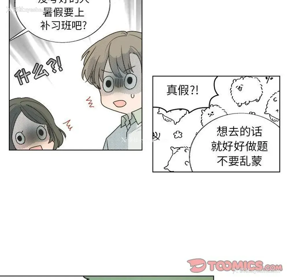 28P - 心跳维他命