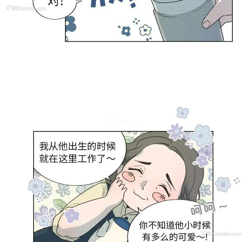 24P - 心跳维他命