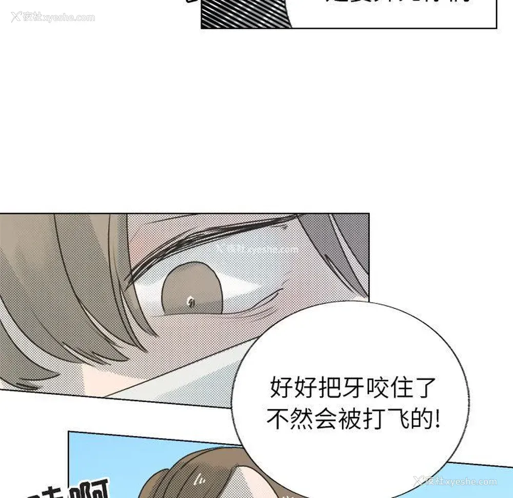 33P - 心跳维他命