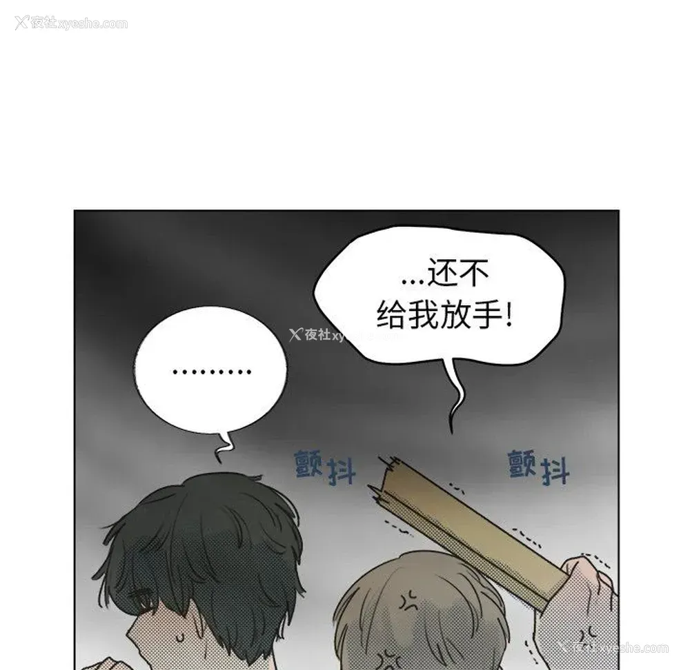 42P - 心跳维他命