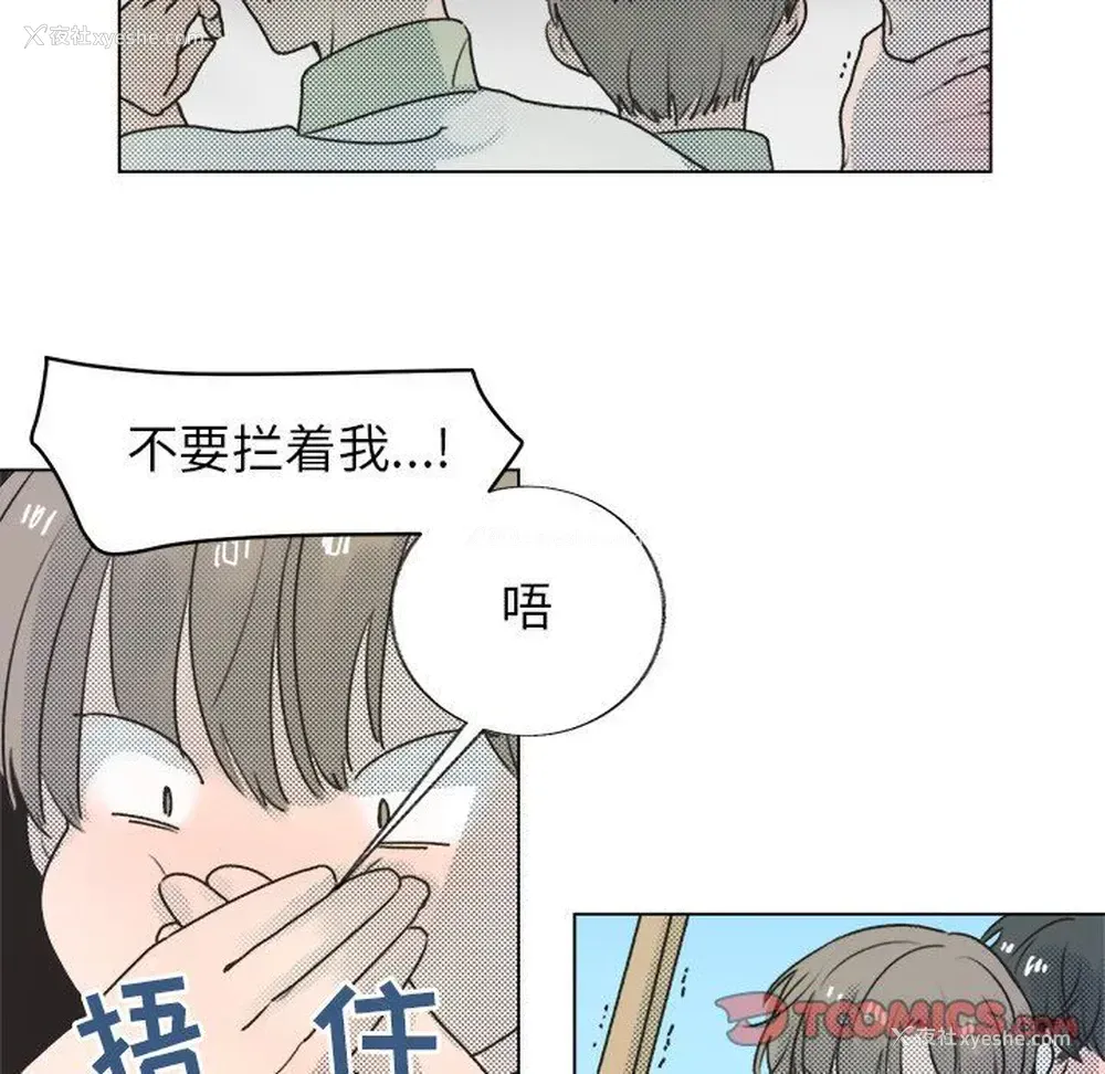 43P - 心跳维他命