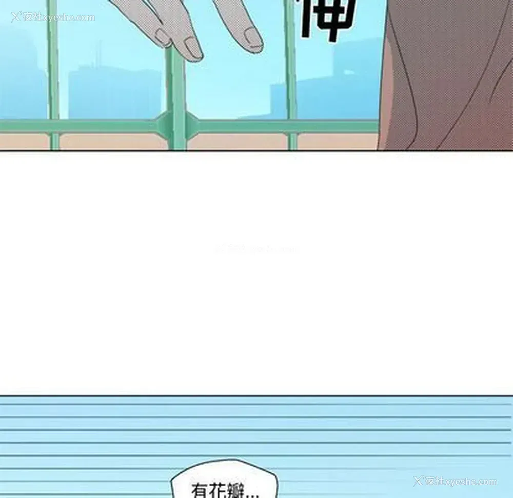 25P - 心跳维他命