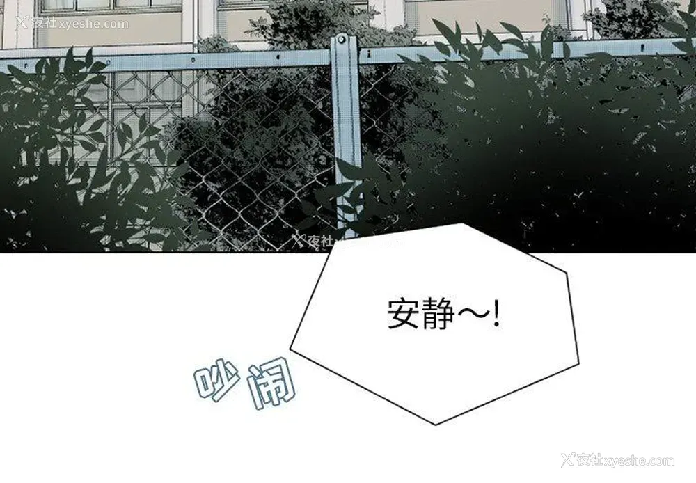 2P - 心跳维他命