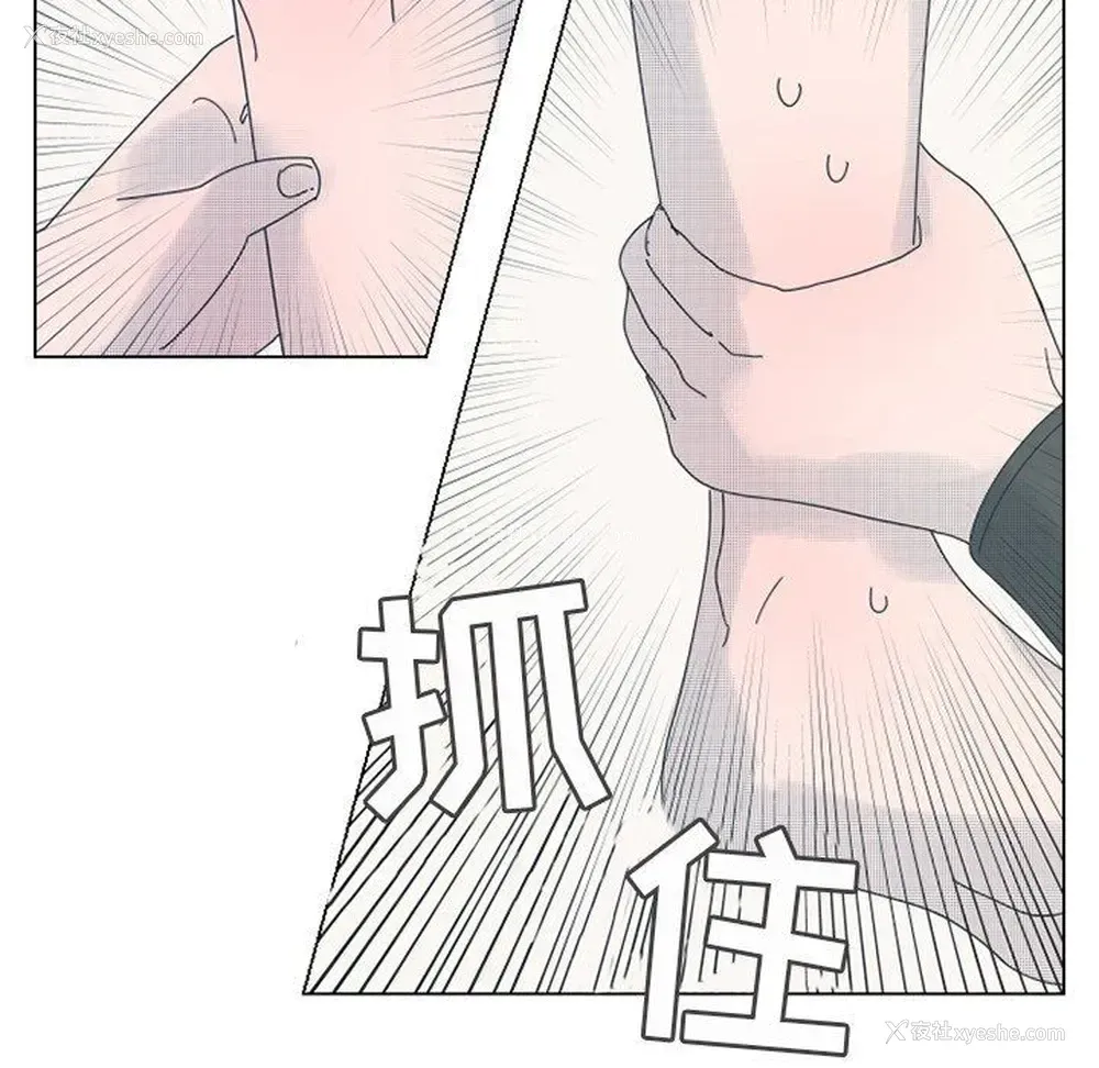 41P - 心跳维他命