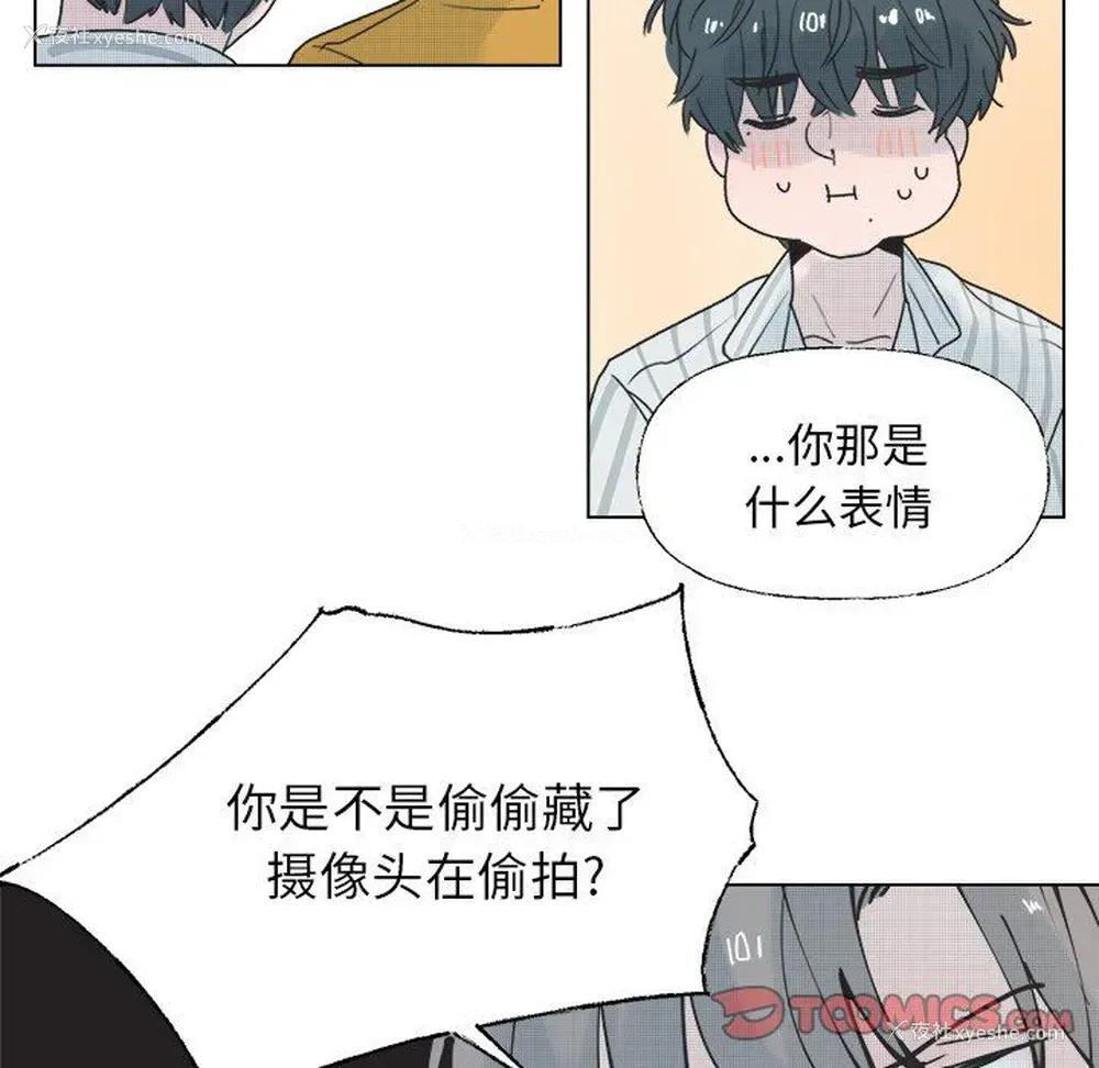 43P - 心跳维他命