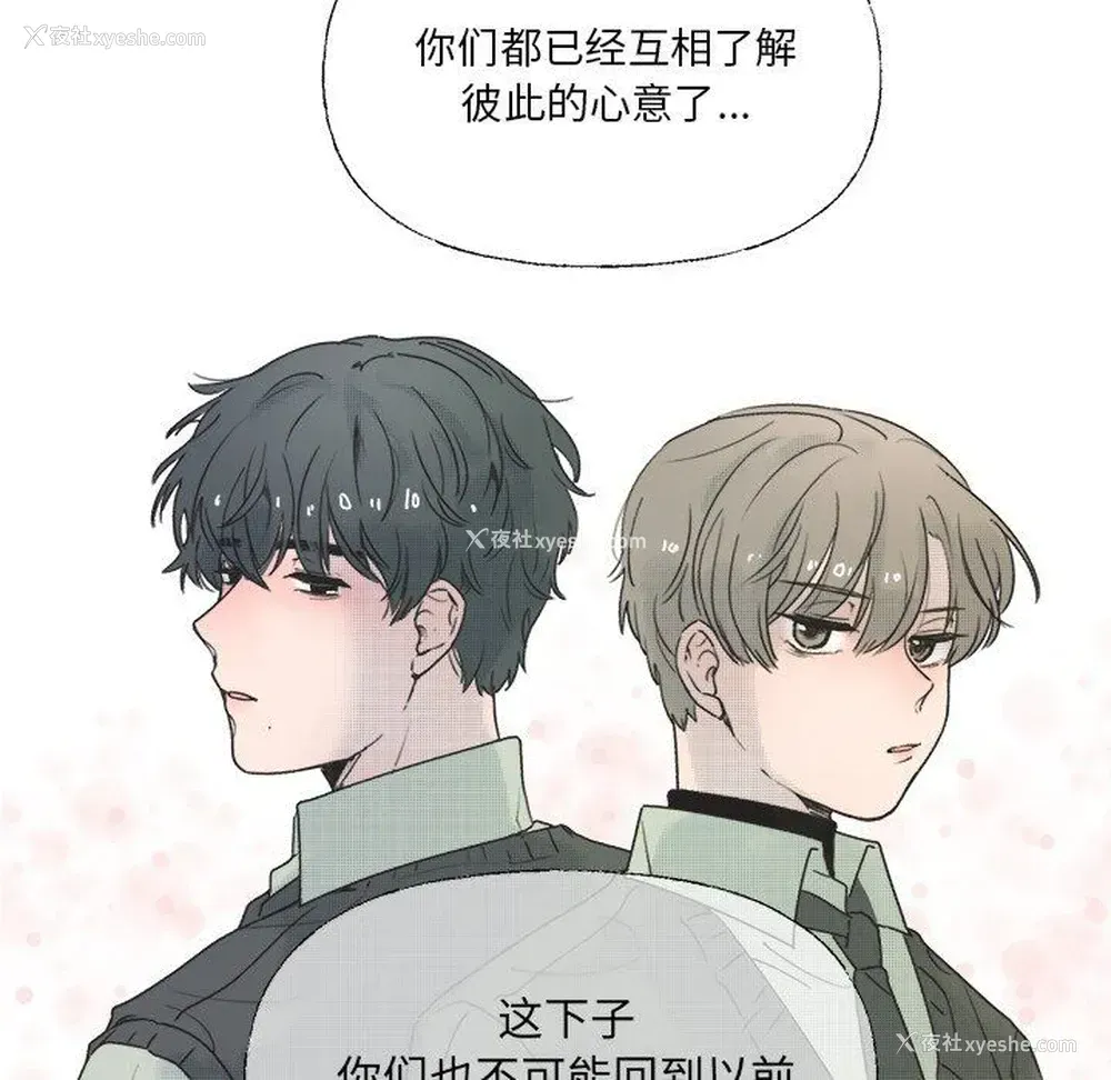 14P - 心跳维他命