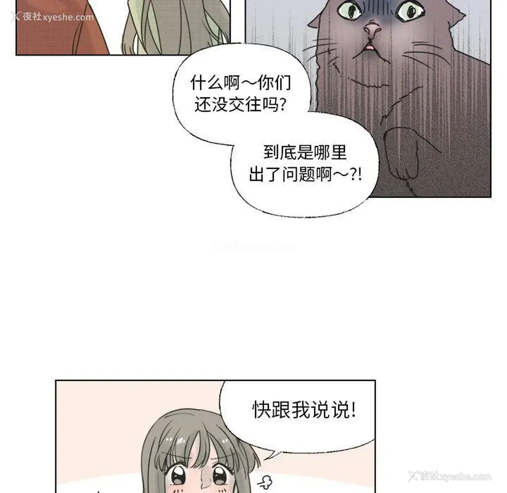 6P - 心跳维他命