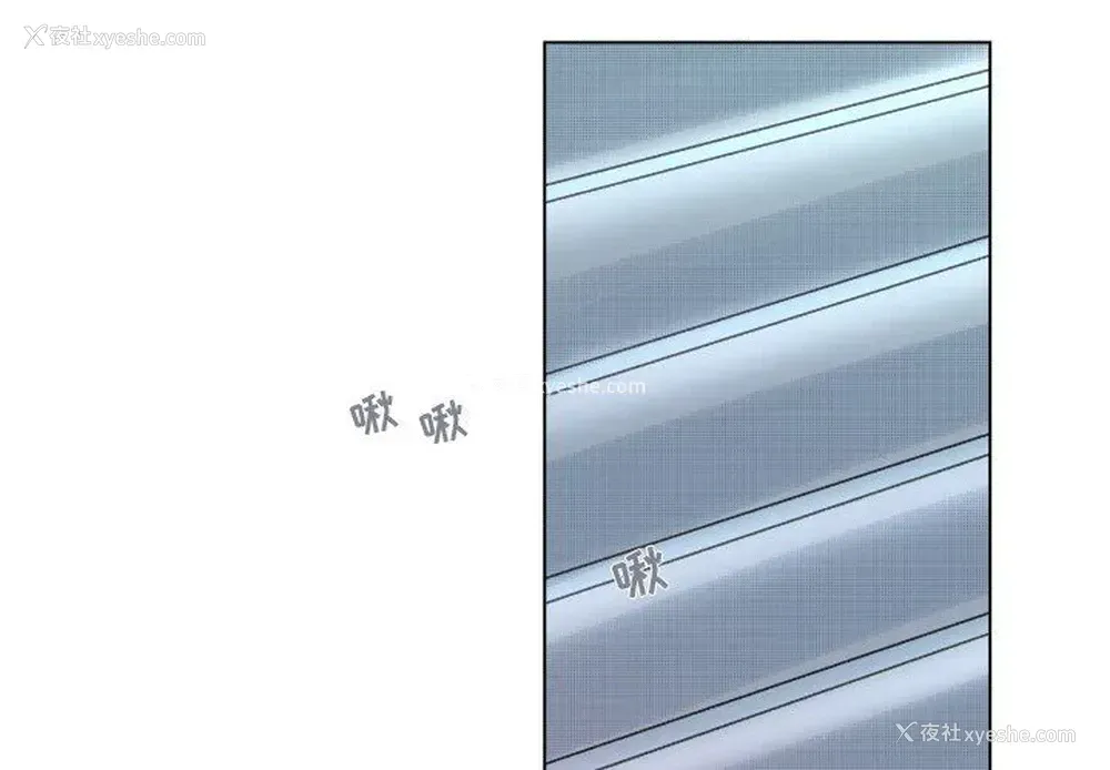 2P - 心跳维他命
