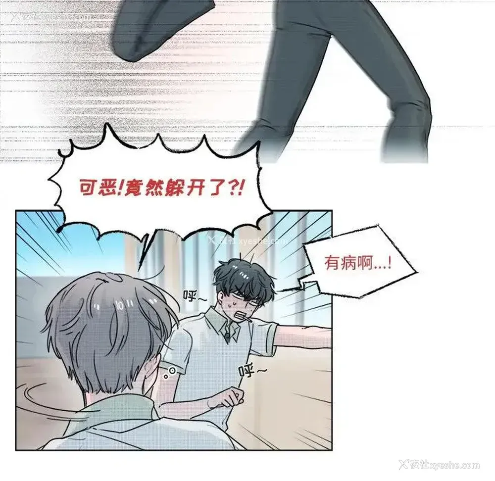 12P - 心跳维他命